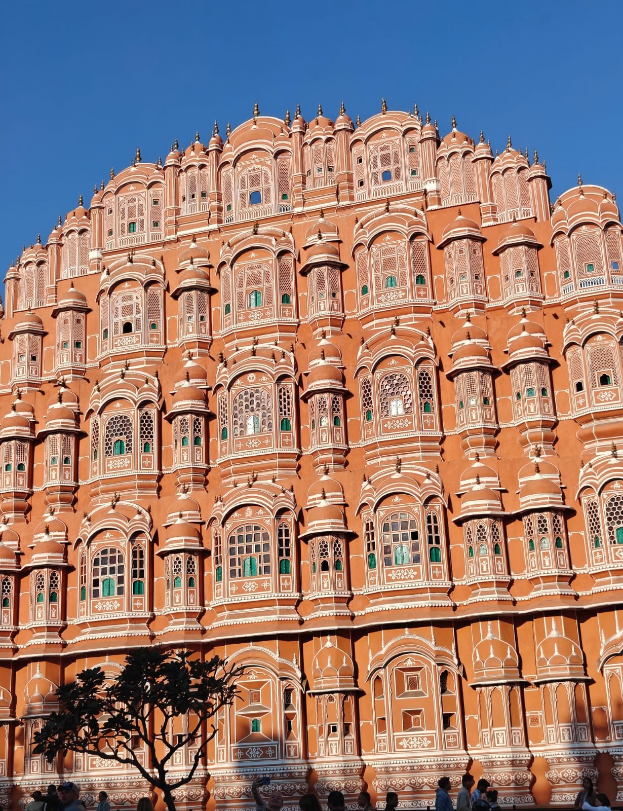 Jaipur experiences and local expert moments with CJ by Ravi